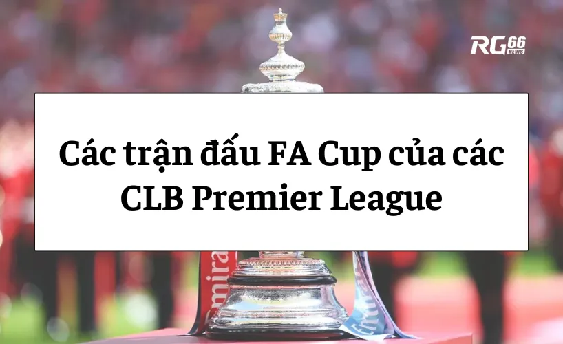 Các trận đấu FA Cup của các CLB Premier League