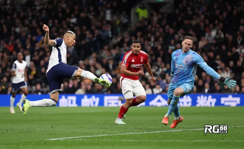 Thủ môn Matz Sels thành công cứu thua trước cú sút của Richarlison
