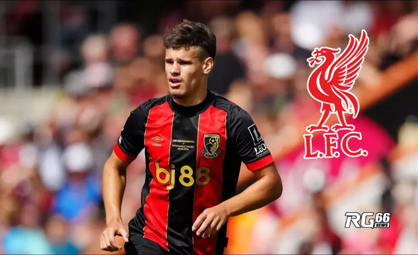 Kerkez - Mục tiêu bổ sung cho hàng thủ Liverpool