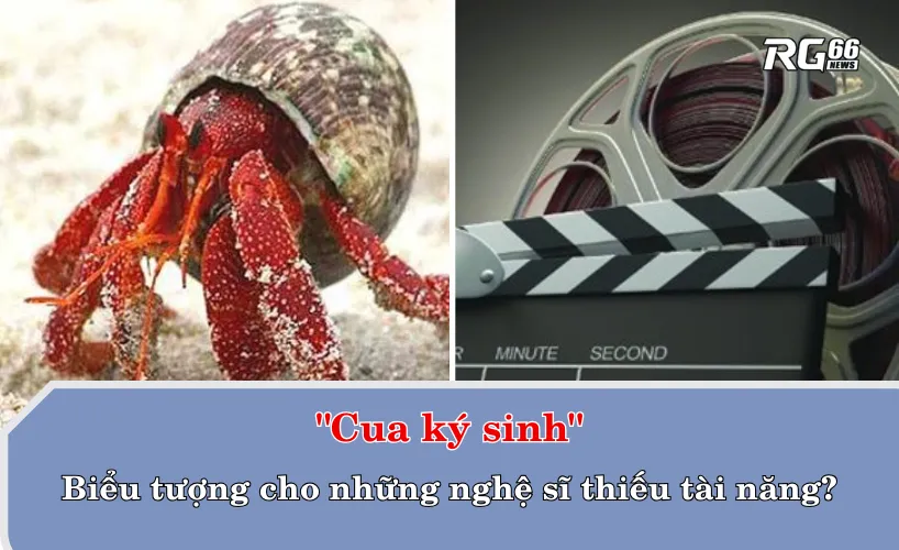 "Cua ký sinh" – Biểu tượng cho những nghệ sĩ thiếu tài năng?