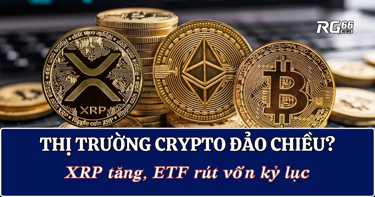 Thị trường crypto đảo chiều? XRP tăng, ETF rút vốn kỷ lục
