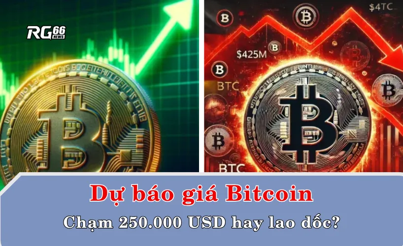 Dự báo giá Bitcoin - Cơ hội chạm 250.000 USD hay đà lao dốc?