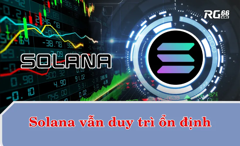 Solana nổi bật giữa thị trường ở mức ổn định