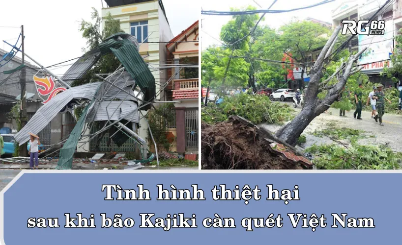 Tình hình thiệt hại sau khi bão Kajiki càn quét Việt Nam