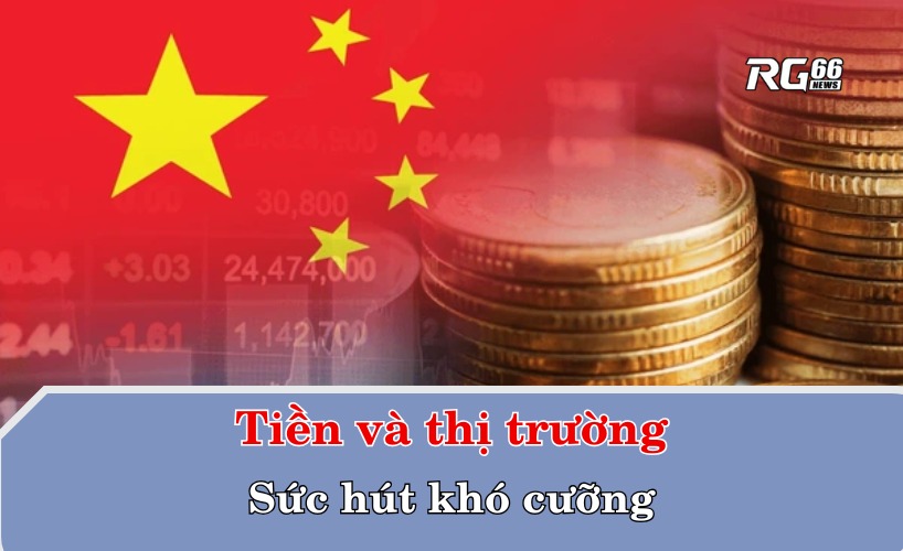 Tiền và thị trường - Sức hút khó cưỡng