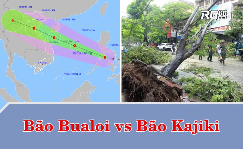 So sánh bão Bualoi với bão Kajiki hồi tháng 8 vừa qua