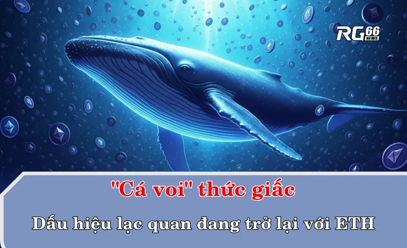 "Cá voi" thức giấc – Dấu hiệu lạc quan đang trở lại với ETH