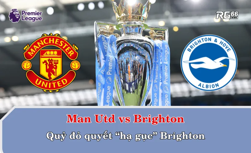 Man Utd vs Brighton – Quỷ đỏ quyết “hạ gục” Brighton