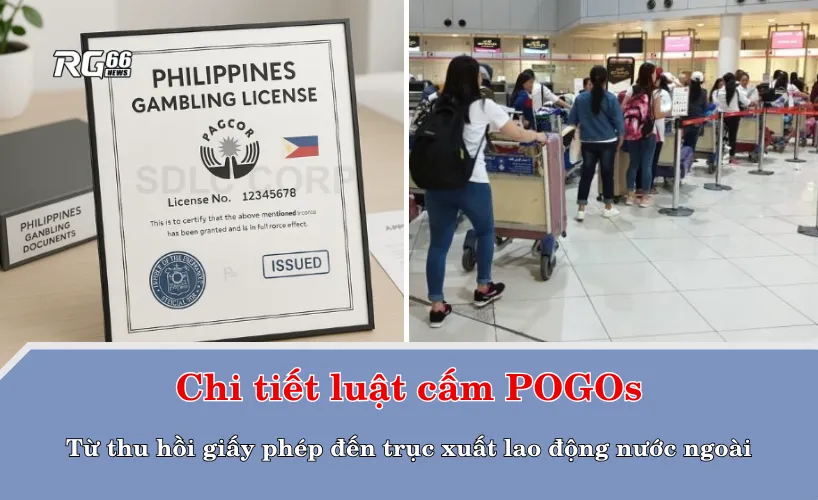 Chi tiết luật cấm POGOs – Từ thu hồi giấy phép đến trục xuất lao động nước ngoài