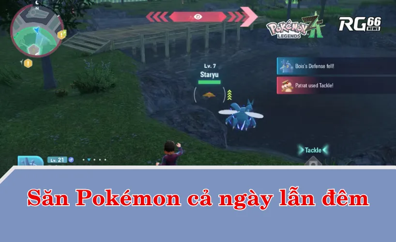 Săn Pokémon cả ngày lẫn đêm
