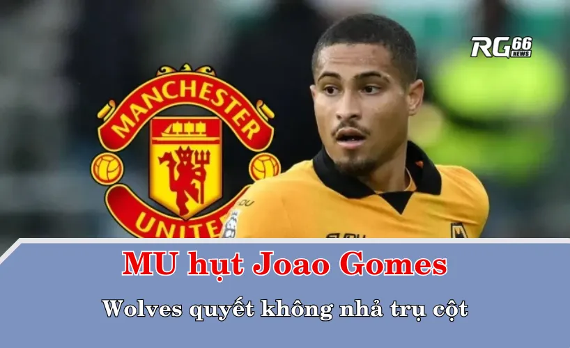 MU hụt Joao Gomes – Wolves quyết không nhả trụ cột