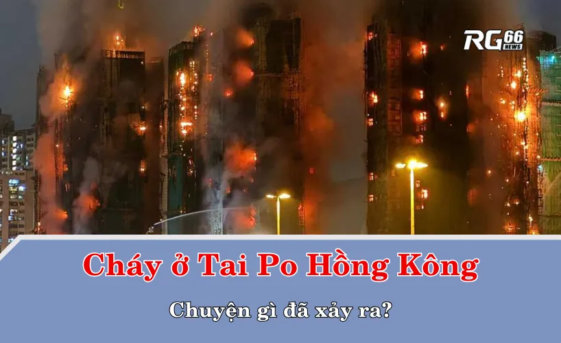Vụ cháy kinh hoàng ở Tai Po Hồng Kông – Chuyện gì đã xảy ra?