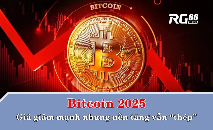 Bitcoin 2025: Giá giảm mạnh nhưng nền tảng vẫn “thép”