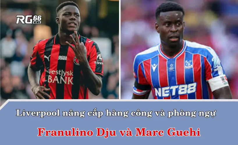 Liverpool nâng cấp hàng công và phòng ngự với Franulino Dju và Marc Guehi