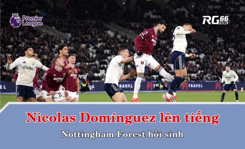 Nicolas Domínguez lên tiếng: Forest hồi sinh