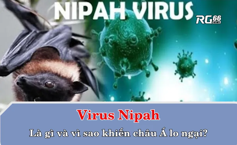 Virus Nipah là gì và vì sao khiến châu Á lo ngại?