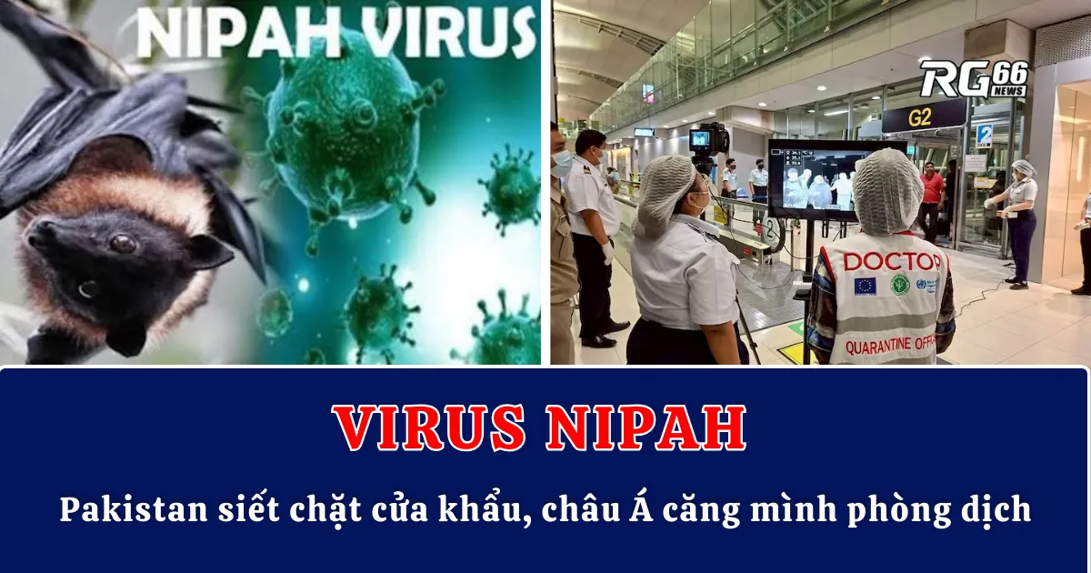 Pakistan siết chặt cửa khẩu vì virus Nipah, châu Á căng mình phòng dịch