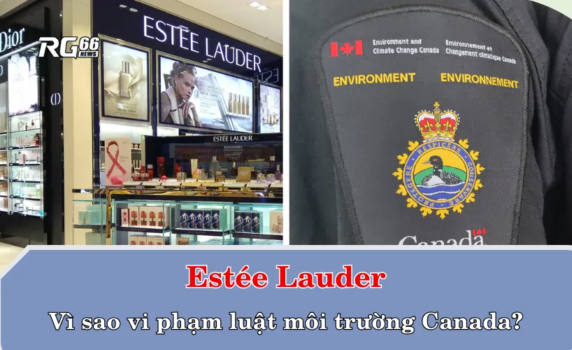 Vì sao Estée Lauder vi phạm luật môi trường Canada?