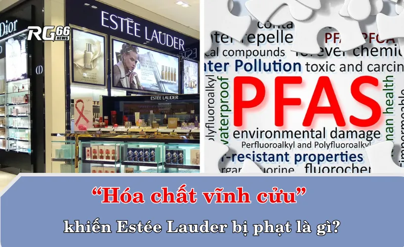 “Hóa chất vĩnh cửu” khiến Estée Lauder bị phạt là gì?
