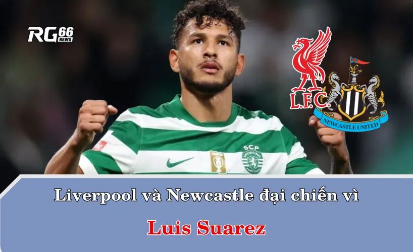 Liverpool và Newcastle đại chiến vì Luis Suarez