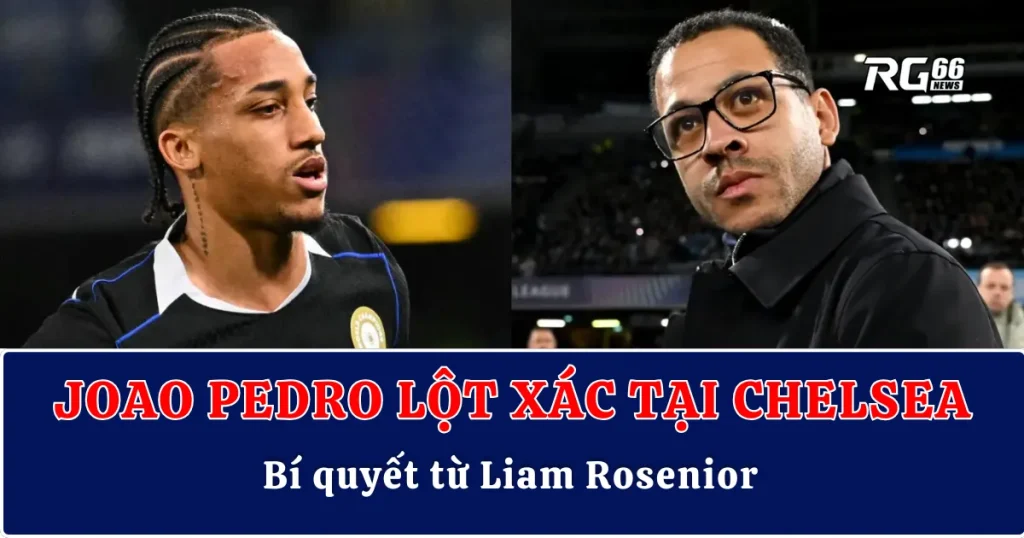Joao Pedro lột xác tại Chelsea – Bí quyết từ Liam Rosenior