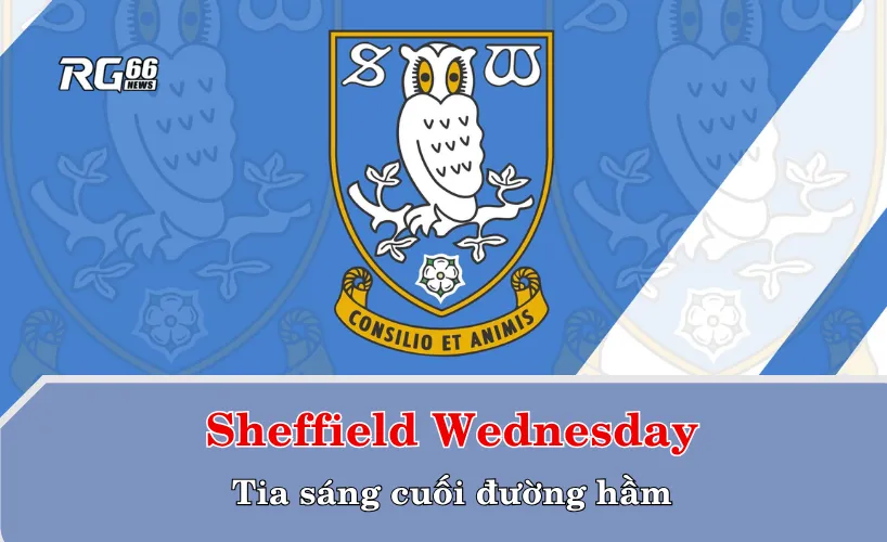 Sheffield Wednesday và tia sáng cuối đường hầm